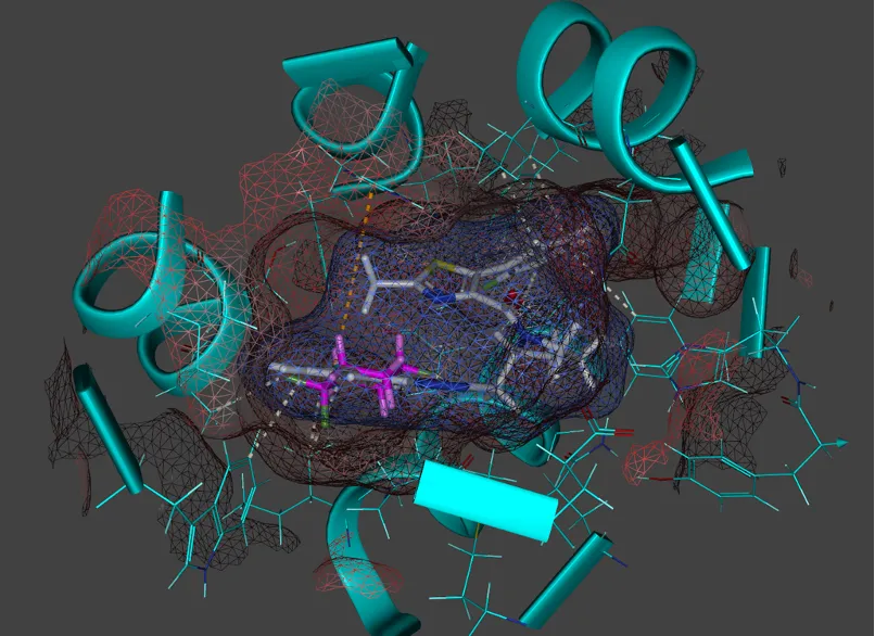 Illustration of molecular modelling highlighting ligand interactions within a protein structure, symbolising the discovery of novel opportunities in nature’s chemistry.