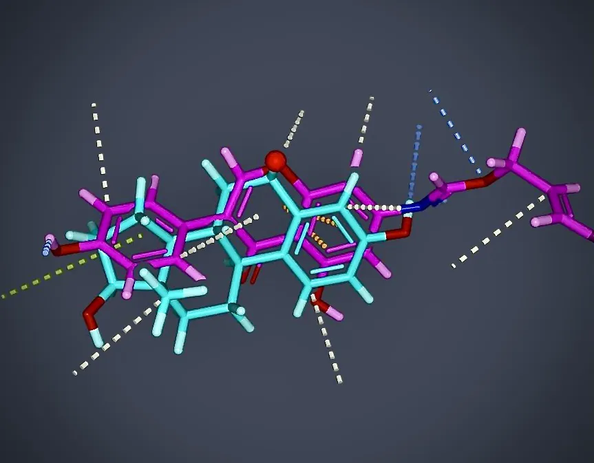 Close-up view of a molecular docking result highlighting atomic interactions, including hydrogen bonds and spatial orientation between a natural ligand and target receptor.