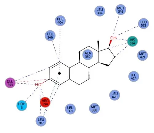 2D interaction diagram of a ligand bound in a protein’s active site, showing hydrogen bonds and hydrophobic contacts with key amino acid residues, used to evaluate binding affinity and docking stability.